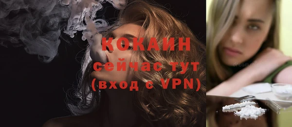 крисы Новозыбков