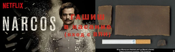 крисы Новозыбков