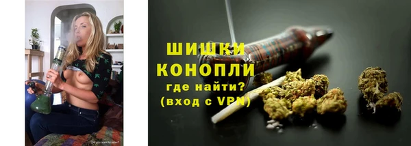 крисы Новозыбков