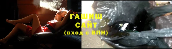 крисы Новозыбков