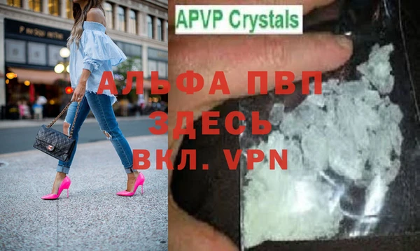 амф Новодвинск