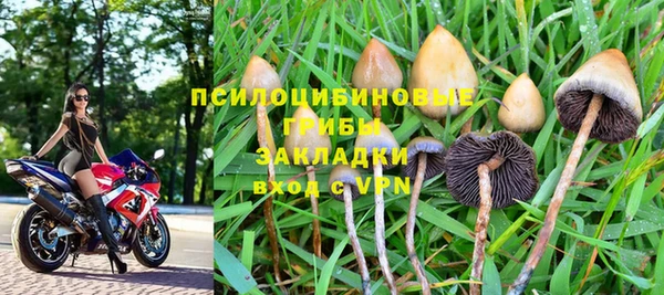 каннабис Новокубанск