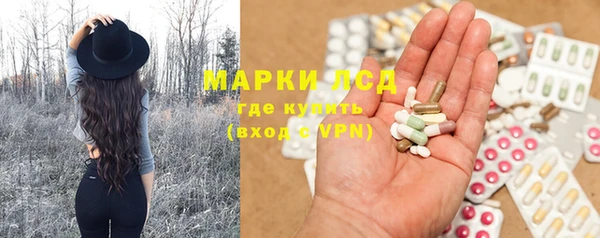 амф Новодвинск