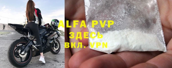 амф Новодвинск