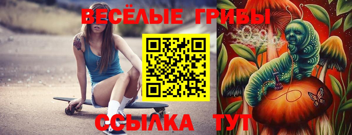 Псилоцибиновые грибы ЛСД  Вход с VPN  Кулебаки 