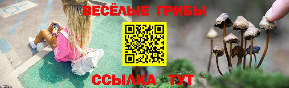 Псилоцибиновые грибы Psilocybe Кулебаки